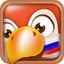 Learn Russian Phrases & Words icon