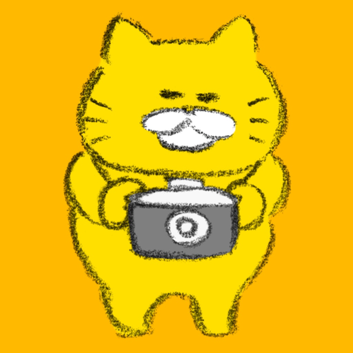 Stray Cats Camera app icon
