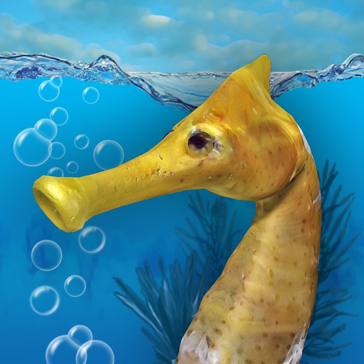 Seahorse 3D app icon