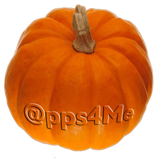 Pumpkin Weight Calculator app icon