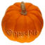 Pumpkin Weight Calculator icon