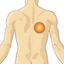 Patient Communicator icon