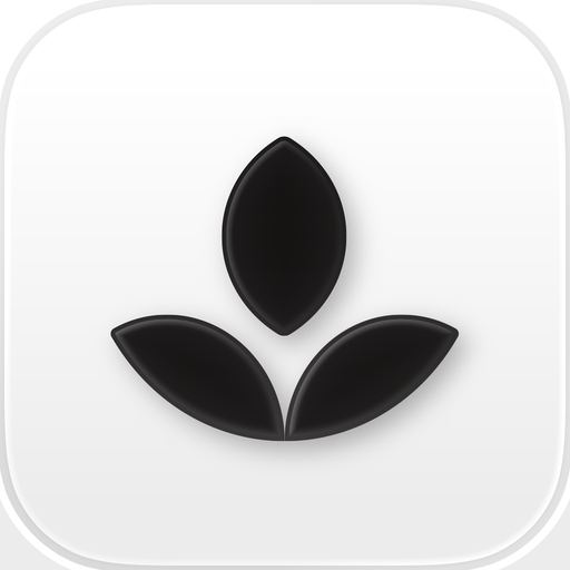 Emphasis: Flow & Focus Timer app icon
