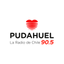 Radio Pudahuel icon