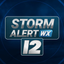 Storm Alert Wx 12 - WJRT icon