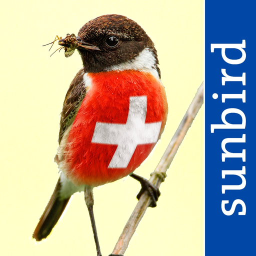 All birds CH - photo guide app icon