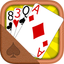 Solitaire Collection Premium icon