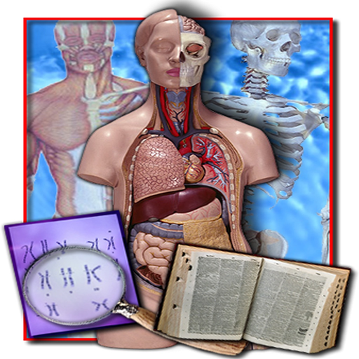 Medical Terminology Quizzes app icon