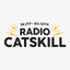 Radio Catskill icon
