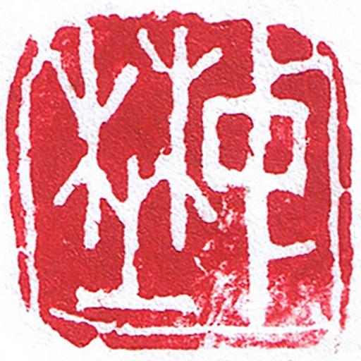 Displayer app icon