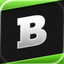 Brainly: Your Personal Tutor icon