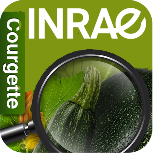 Di@gnoplant Courgette app icon