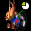 TEE Colour Doppler icon