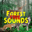Forest Sounds Free icon