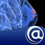 Breast Cancer [BC] icon