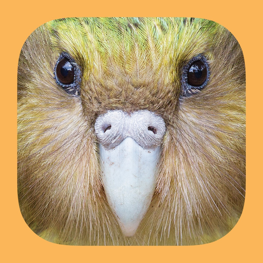 Birds of New Zealand app icon
