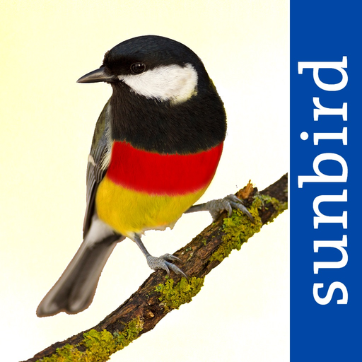 All Birds Germany app icon