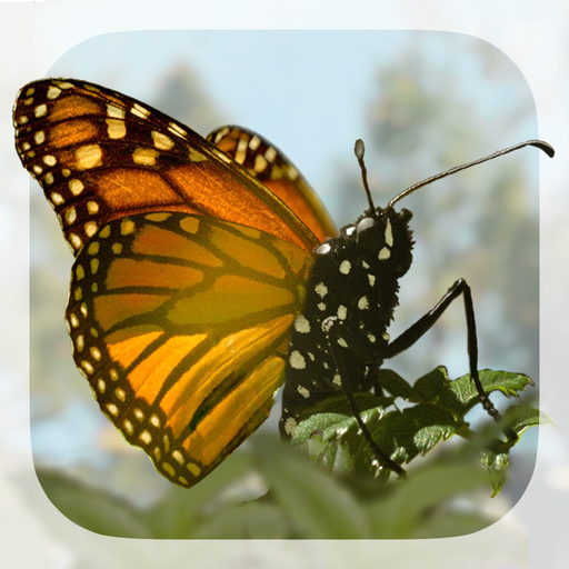 Brian Cox's Wonders of Life app icon