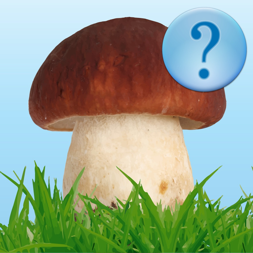Guess Mushroom app icon