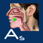Affricates Stops icon