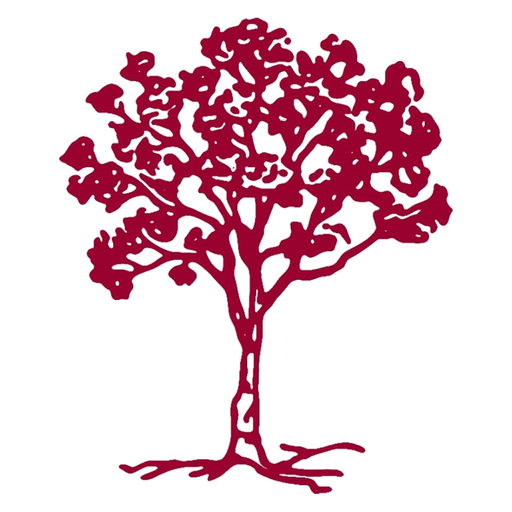 KSB Mobile app icon