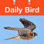 Daily Bird - the beautiful bird a day calendar app icon
