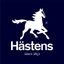 Hästens remote icon