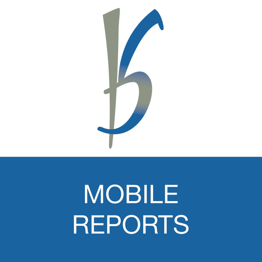 B&S Reports app icon