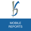 B&S Reports icon