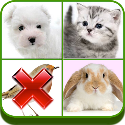 Guess the Wrong Pic in 4 Pics app icon