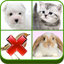 Guess the Wrong Pic in 4 Pics icon