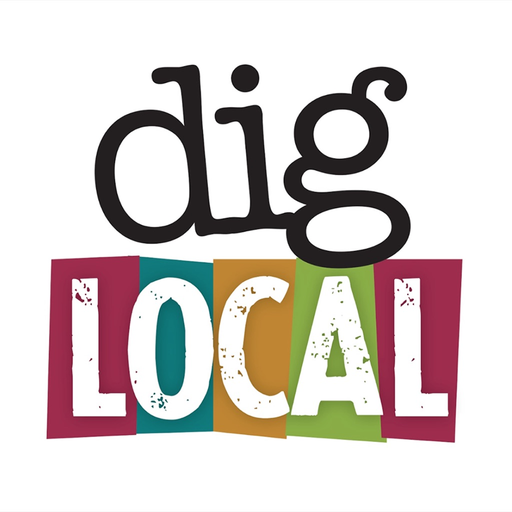 Dig Local app icon