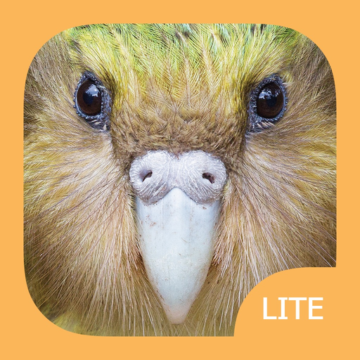 Birds of New Zealand LITE app icon