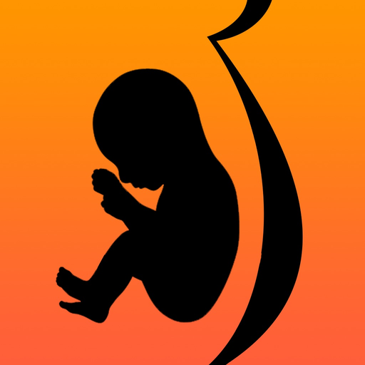 Pregnant Eating app icon
