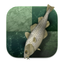 Stockfish Chess icon