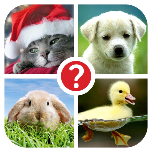 Guess the word ~ 4 Pix riddle /// 4 картинки ~ угадай слово по фото app icon