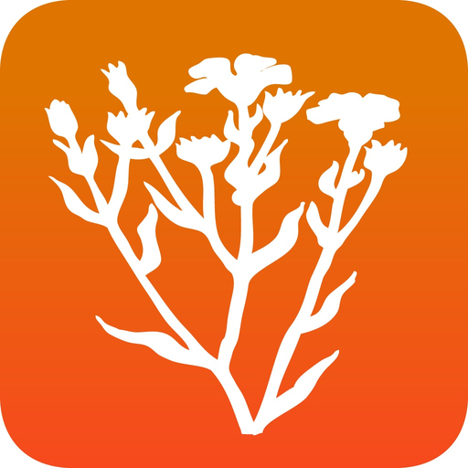 Bachblüten bei Kindern app icon