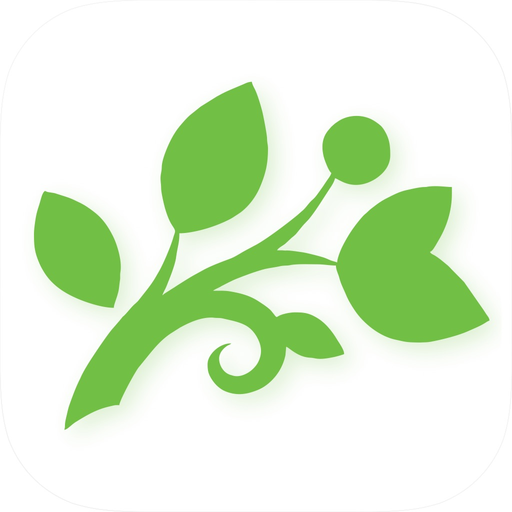 MagNet Bank app icon