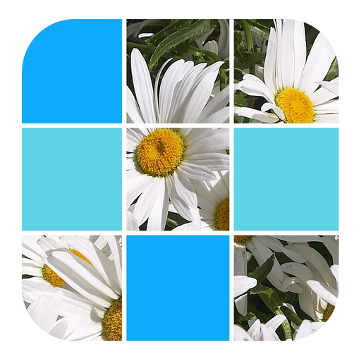 Ikasikusi app icon