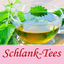 Weight Loss Diet Tea icon