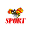 SportExpressen icon