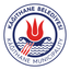 Dijital Kütüphane icon