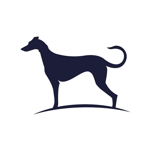 Sighthound Video app icon