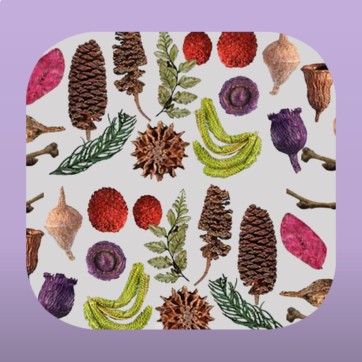 Dried Botanicals Key app icon