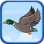 Flying Duckling icon