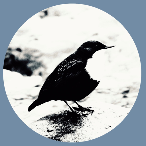 Roslagens Ornitologiska F app icon