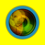 Handy Mirror Camera icon