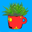 Uganda Medicinal Plants icon