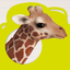 Who am I? Discover Wildlife icon