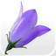 Idaho Wildflowers icon